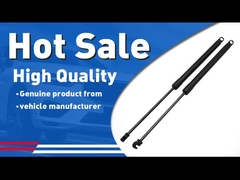 Womala 1334648 Trunk Lid Lift Support Fits S80 XC70 XC90 2003-2014