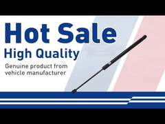 Hood Strut-30649736