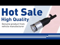 Air Shock Absorber-31658904