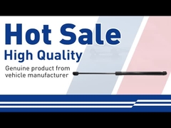 Hood Lift Support-31479642