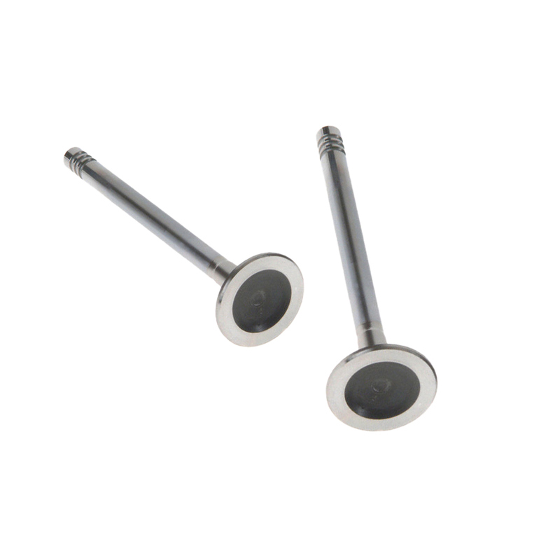 Womala Engine Exhaust Valve 32249029 Exhaust Valve for Volvo XC90 Engine Auto Parts