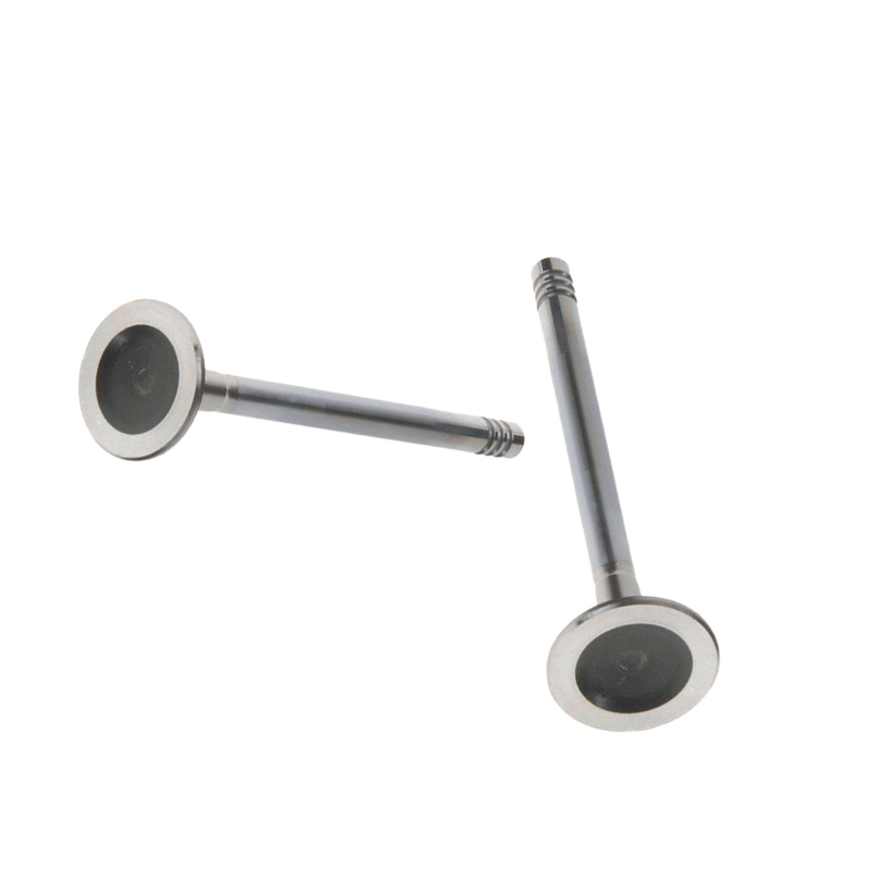 Womala Engine Exhaust Valve 32249029 Exhaust Valve for Volvo XC90 Engine Auto Parts
