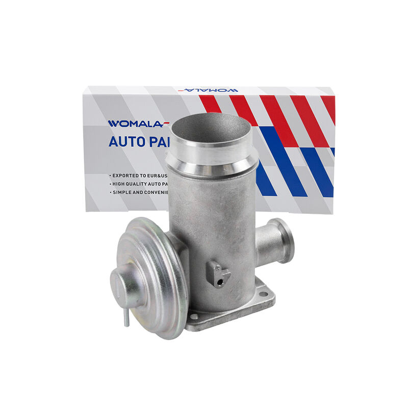 Womala Auto Parts Exhaust Gas Recirculation Valve OE 11717792077 EGR Valve for Bmw