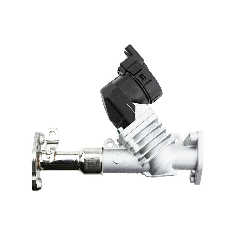 Womala Auto Parts EGR Valve 11717563241 11718479590 for Bmw 1/3/5 Series 