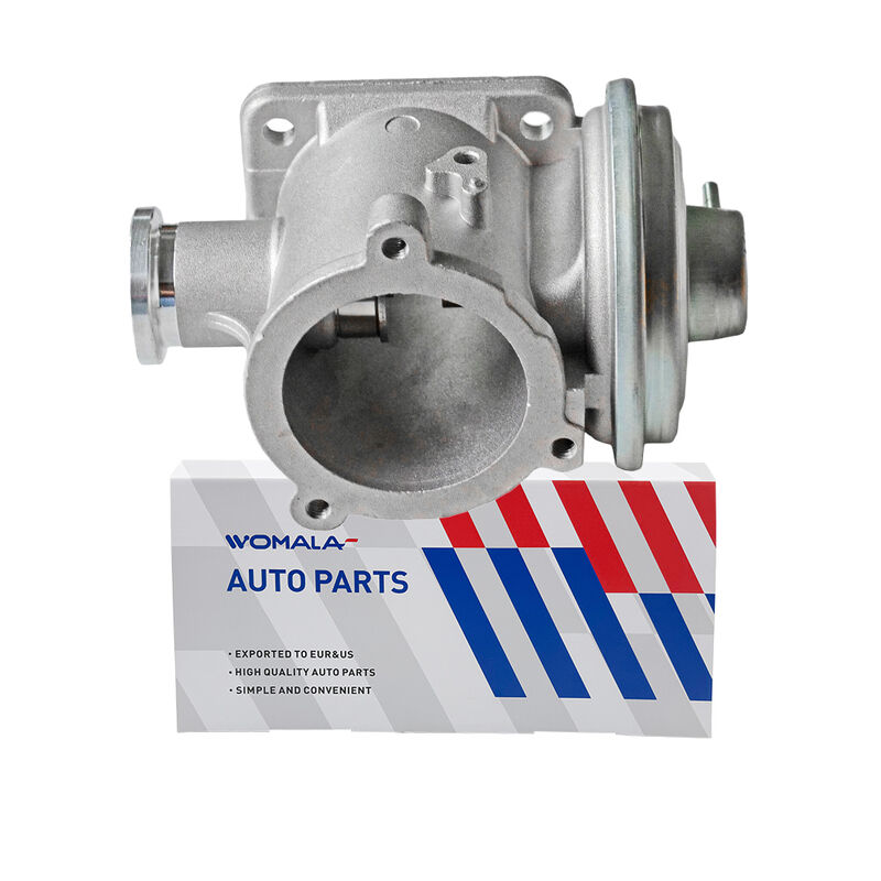 Womala EGR Valve 11717804352 Exhaust Gas Recirculation for Bmw 3/5/6/7 Series