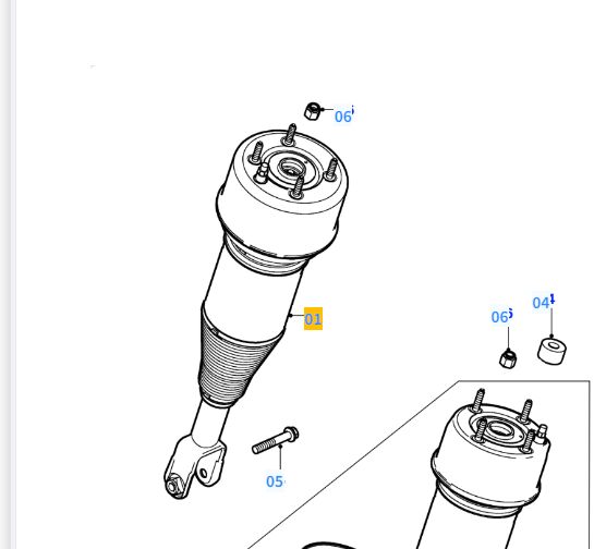 Front Air Spring & Strut for Jaguar C2C41339 | Premium Air Suspension Shock Absorber